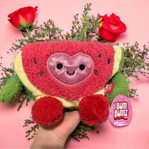 Weston the Watermelon 🍉 Slice 7.5” NWT✨ SweetBumz Bumbumz by Russ